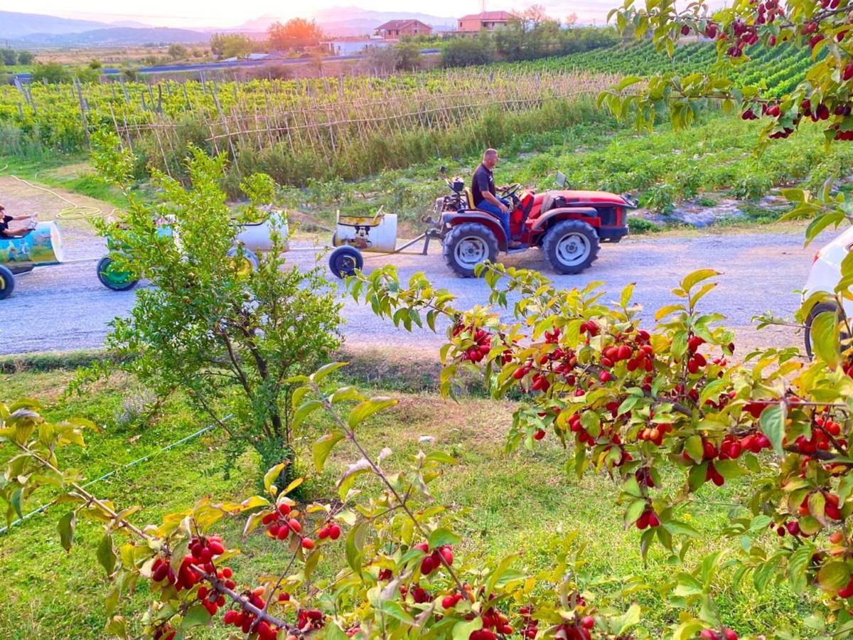 Mrizi I Zanave Agroturizem Hotel Lezhe Luaran gambar